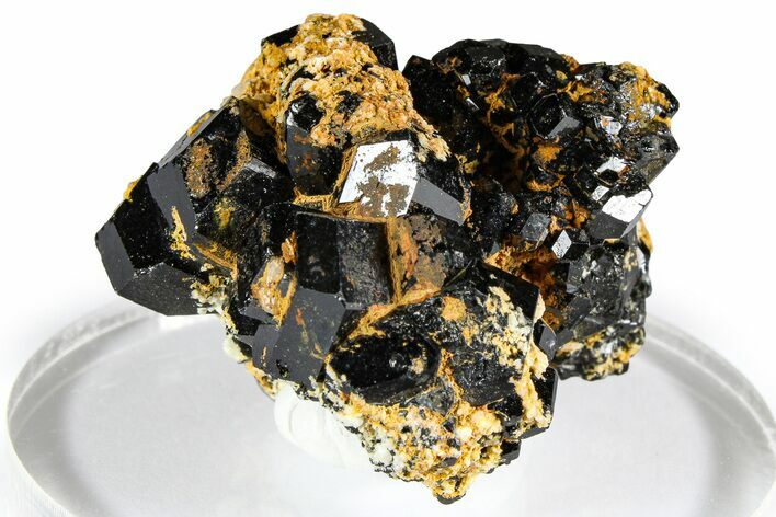 Lustrous Black Tourmaline (Schorl) Crystal Cluster - Namibia #361699